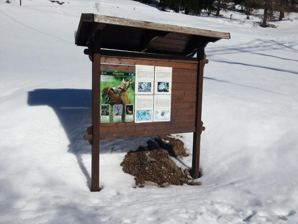 Ar Mountains Lodge Villachiara Branzi Exterior foto